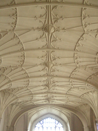 Collon Church (Collon), Collon 06 - Ceiling